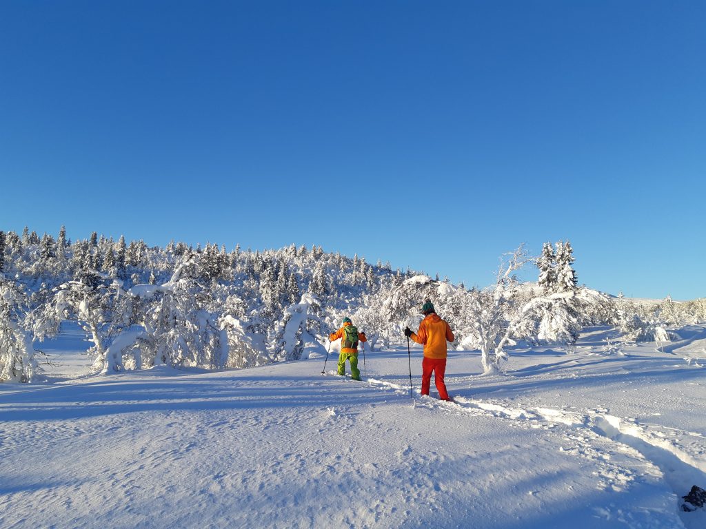 Sneeuwschoenwandelen in Rondane Noorwegen winterreis