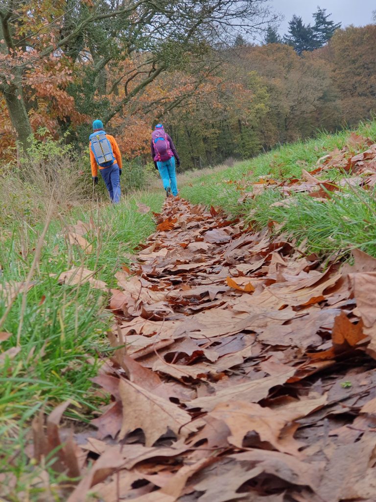 Wandelen Veluwe